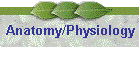 Anatomy/Physiology